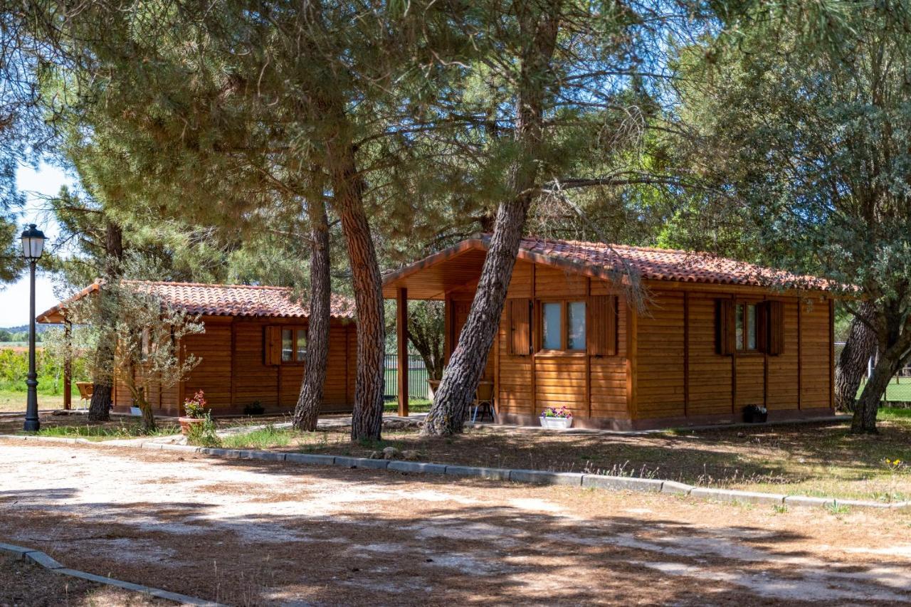 Las Casitas Del Pinar Bayubas de Abajo Dış mekan fotoğraf